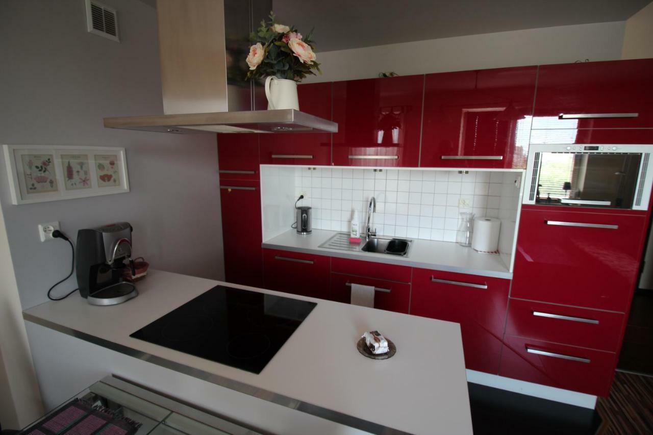 Apartament Podgorna 12 Stary Toruń 外观 照片