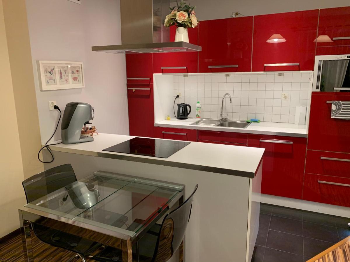Apartament Podgorna 12 Stary Toruń 外观 照片